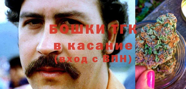 мдпв Бердск