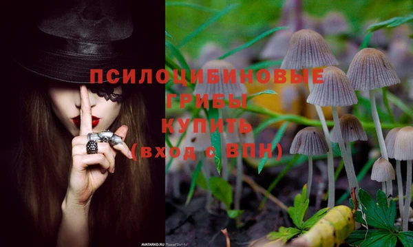 ALPHA PVP Надым