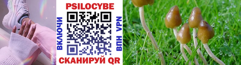 Галлюциногенные грибы Psilocybine cubensis  Рязань 