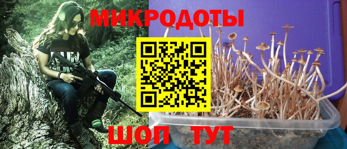 Галлюциногенные грибы GOLDEN TEACHER  Вход с VPN  Рязань 